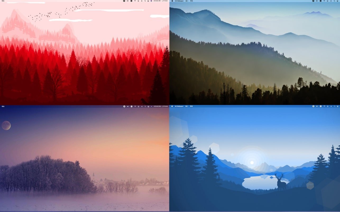4K Wallpaper - HD Wallpapers 截图 3