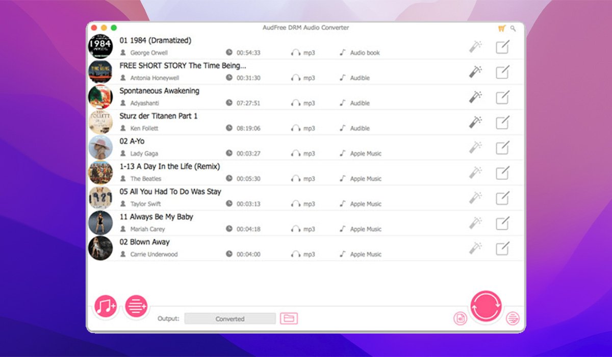 AudFree Audio Converter 截图 1