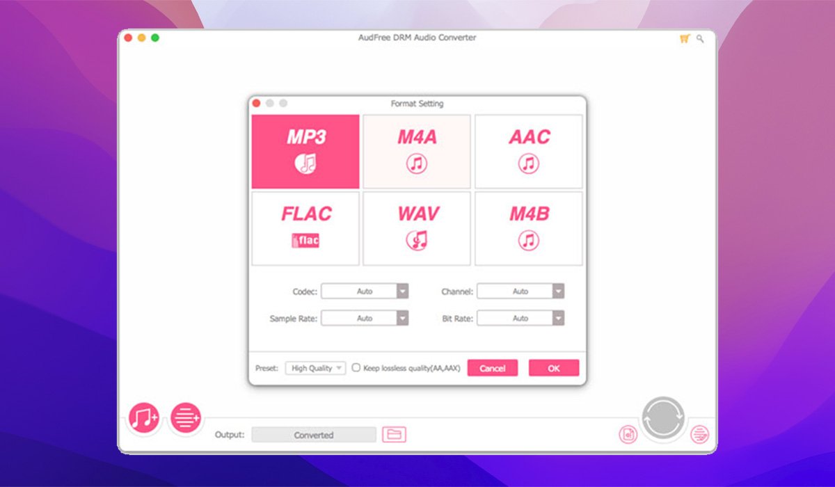 AudFree Audio Converter 截图 2