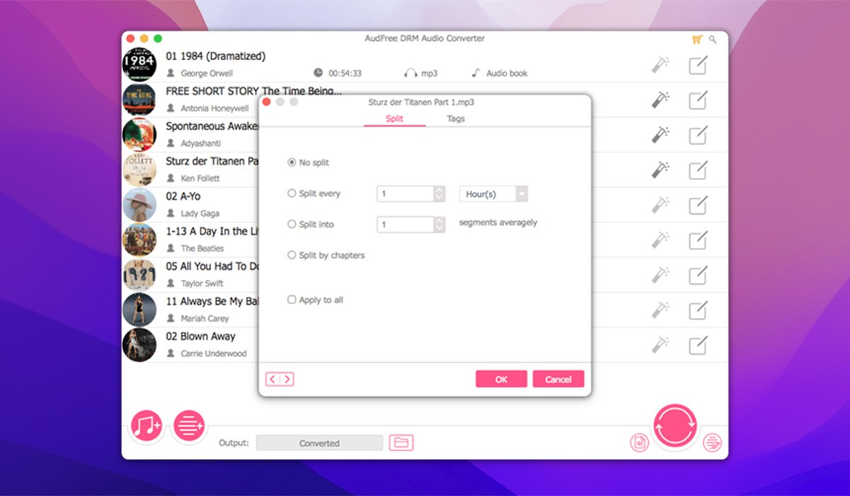 AudFree Audio Converter 截图 3