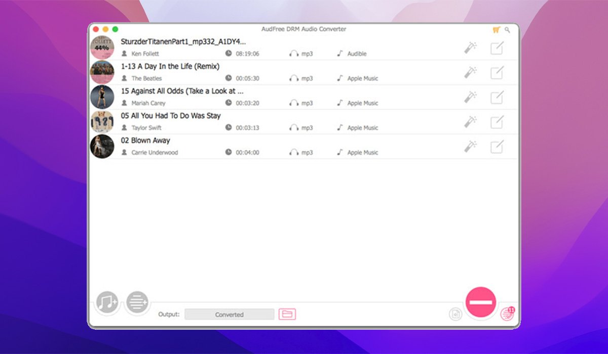 AudFree Audio Converter 截图 4