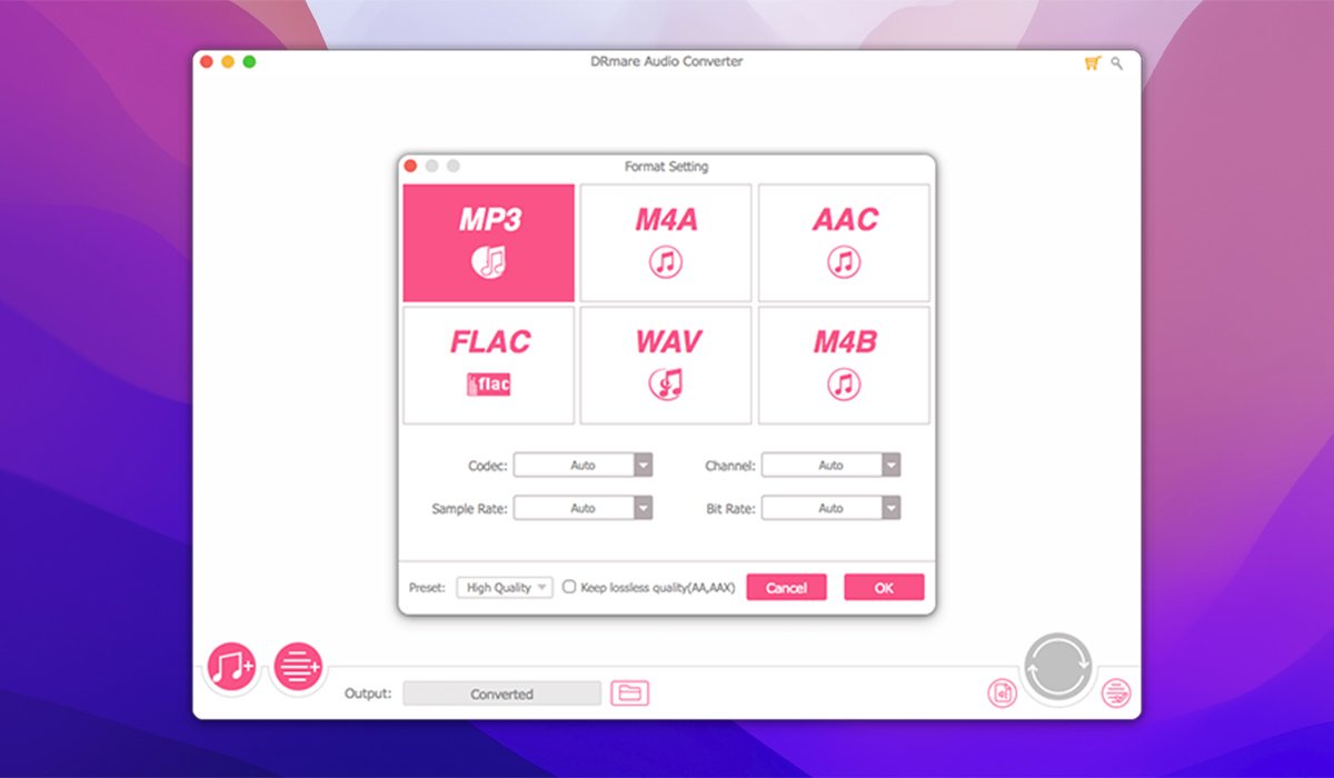 DRmare Audio Converter 截图 3