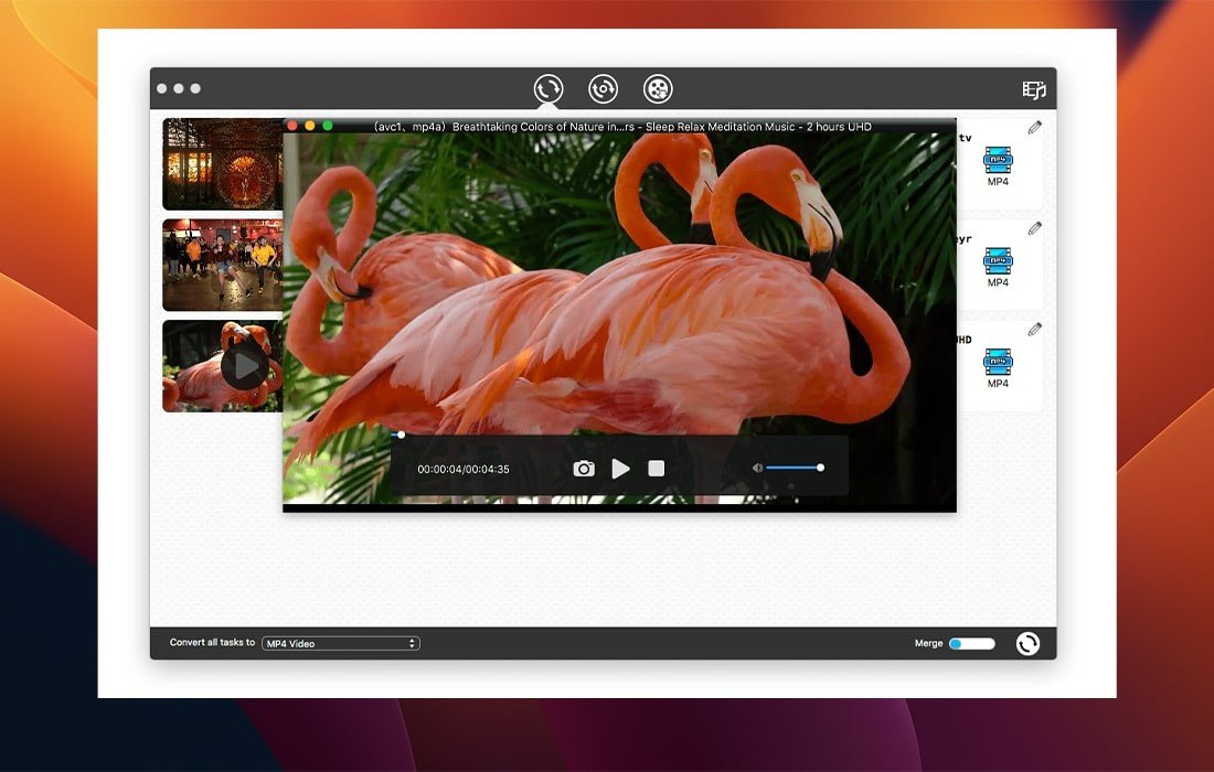 Cisdem VideoPaw 截图 5