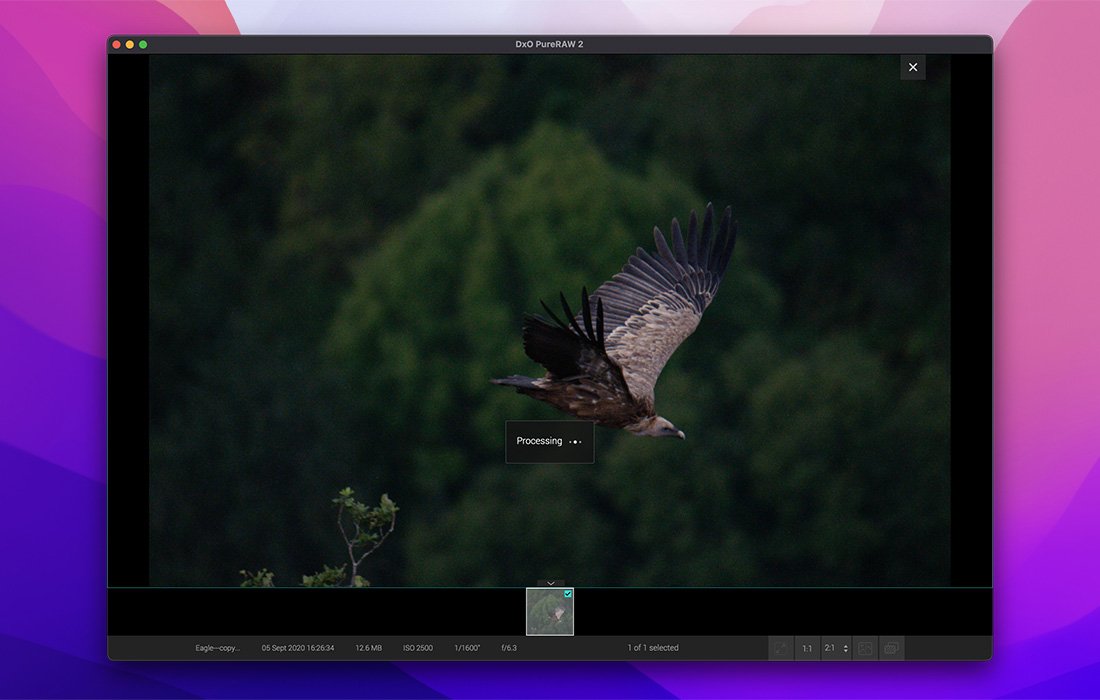 DxO PureRAW 3 截图 3