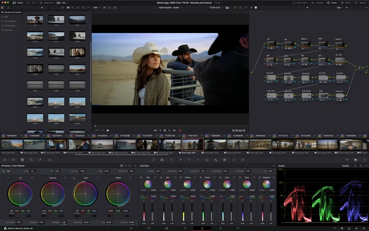 DaVinci Resolve Studio 21 截图 4