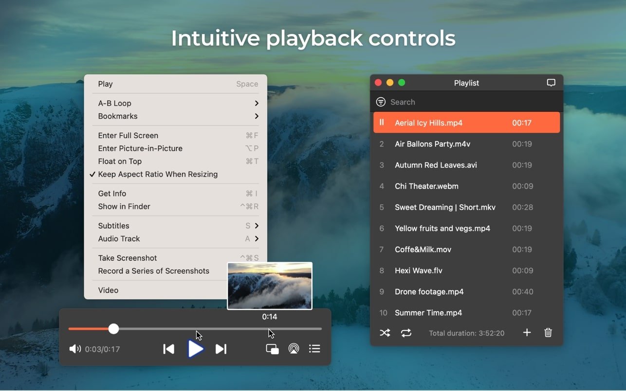 Elmedia Video Player Pro 截图 2