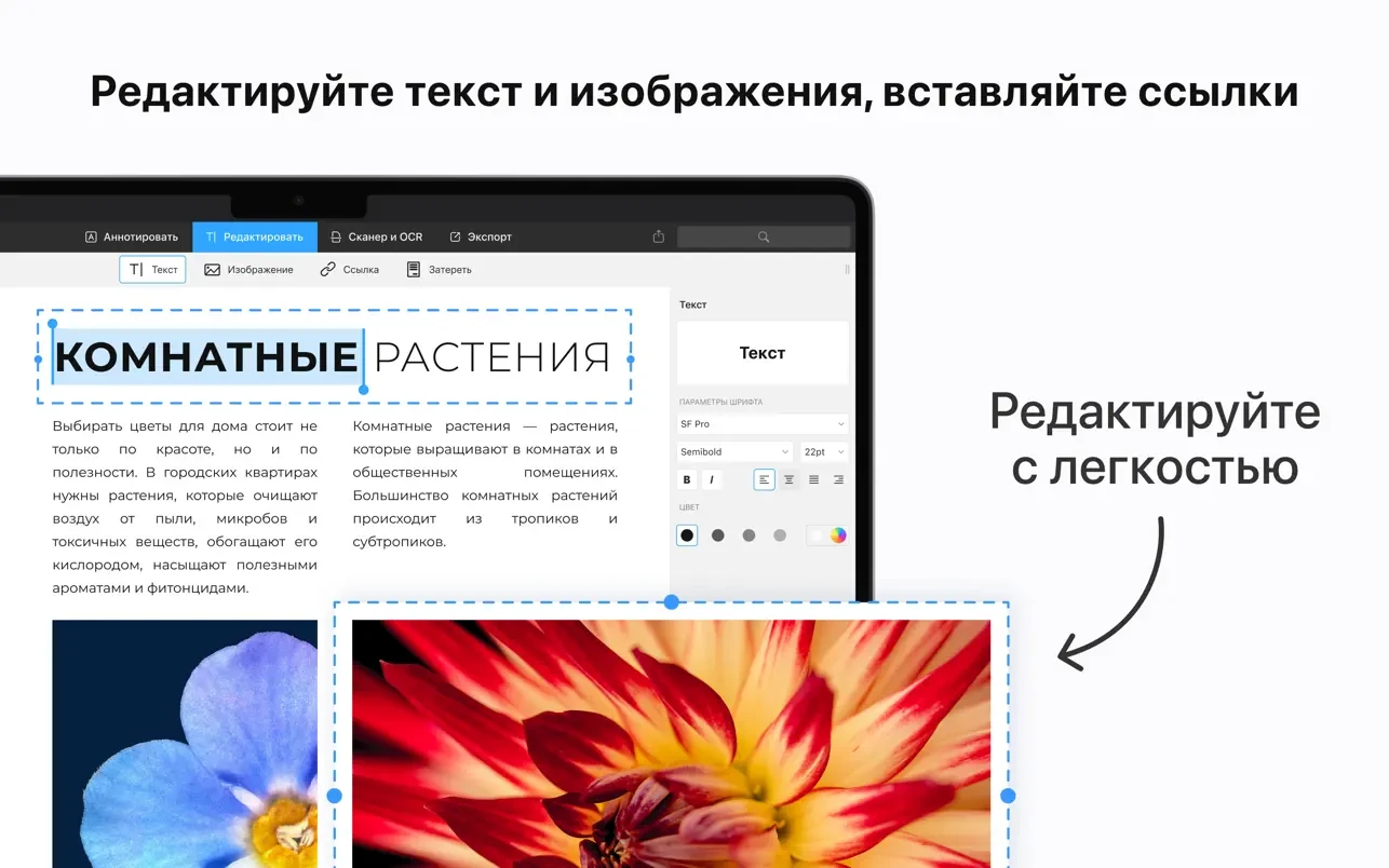 PDF Expert 截图 3