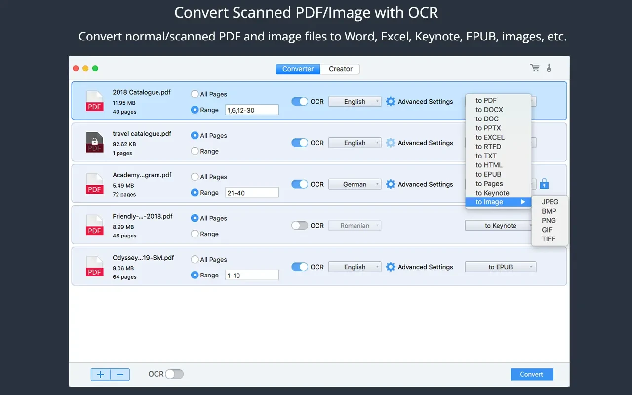 Cisdem PDF Converter OCR 截图 2