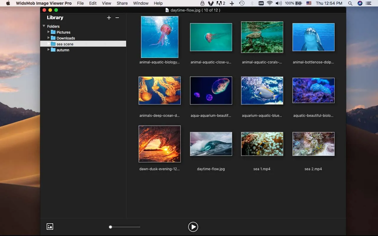 WidsMob Viewer Pro 截图 1