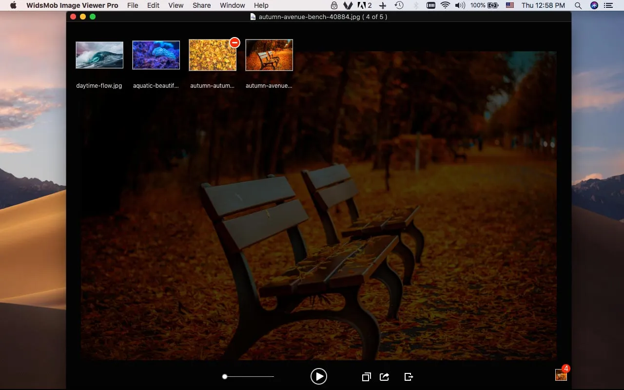 WidsMob Viewer Pro 截图 3