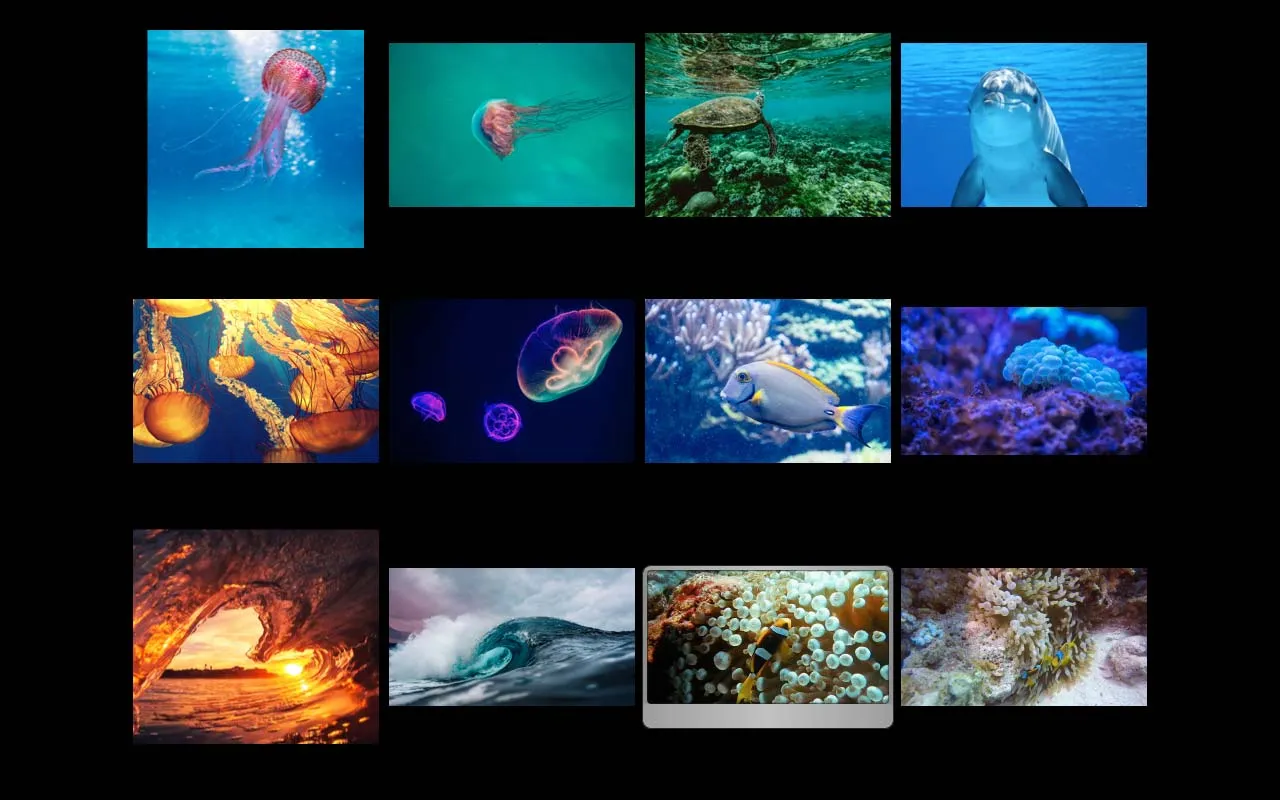 WidsMob Viewer Pro 截图 4