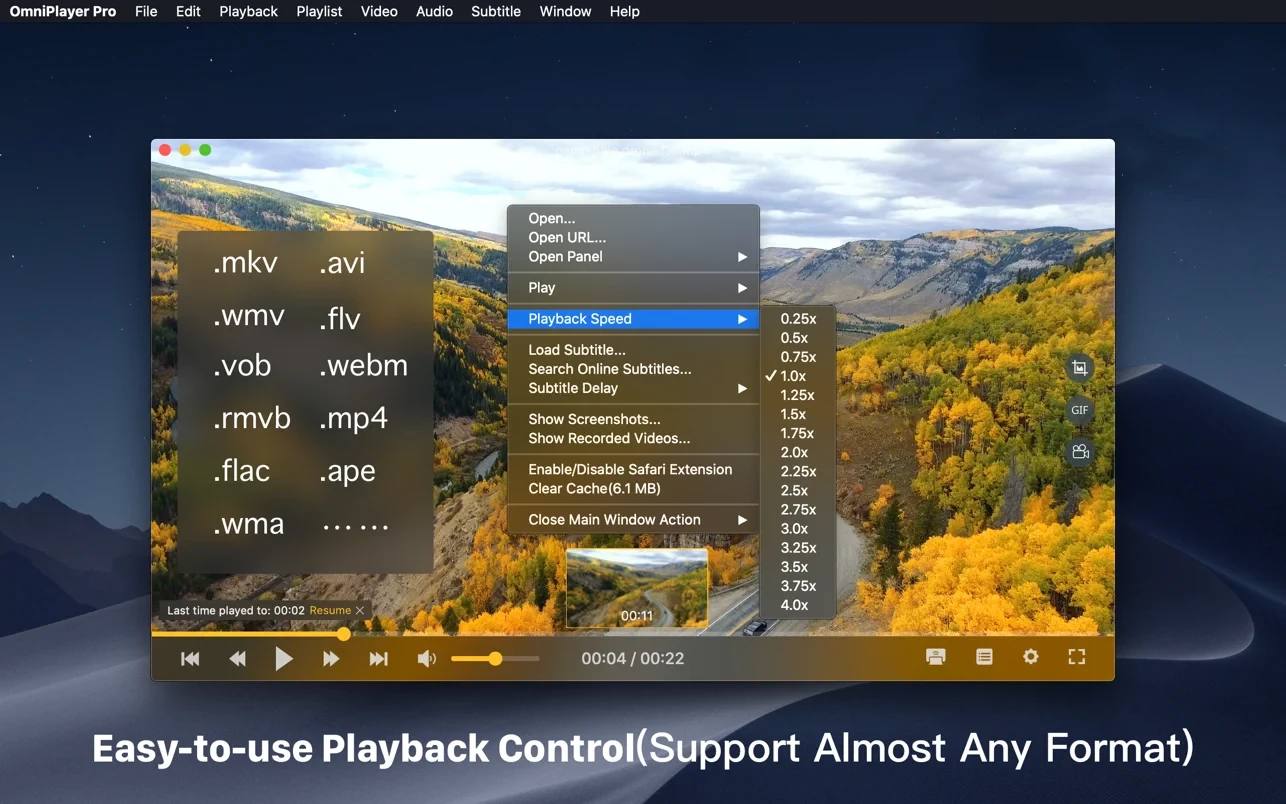 OmniPlayer: MKV Video Player 截图 1