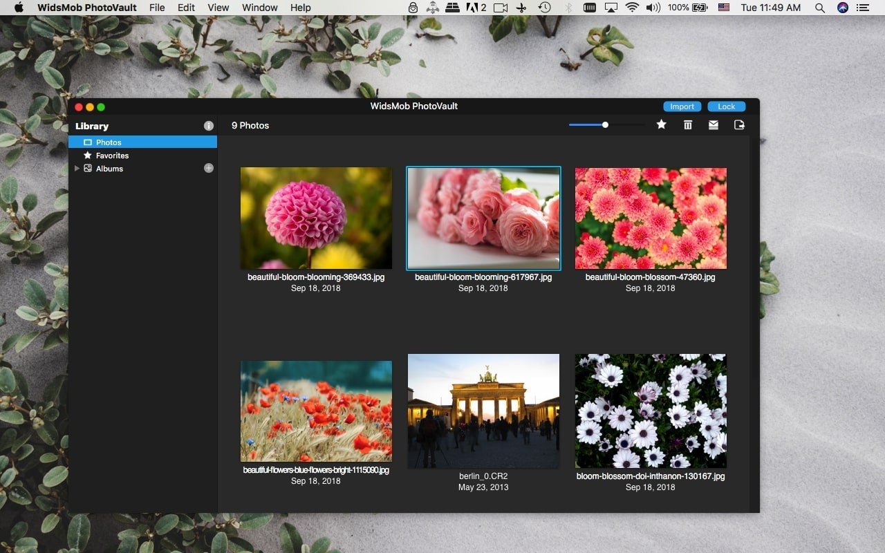 WidsMob PhotoVault 截图 1