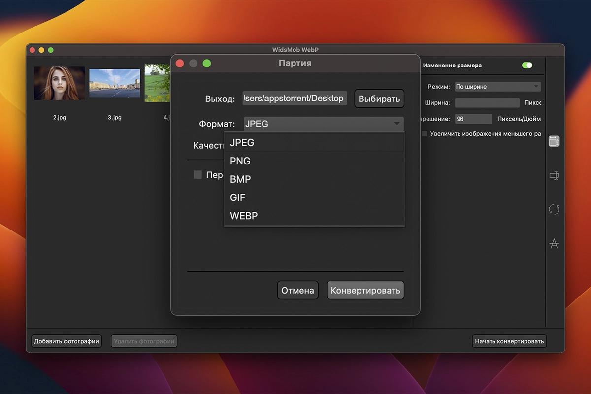 WidsMob WebP 截图 2