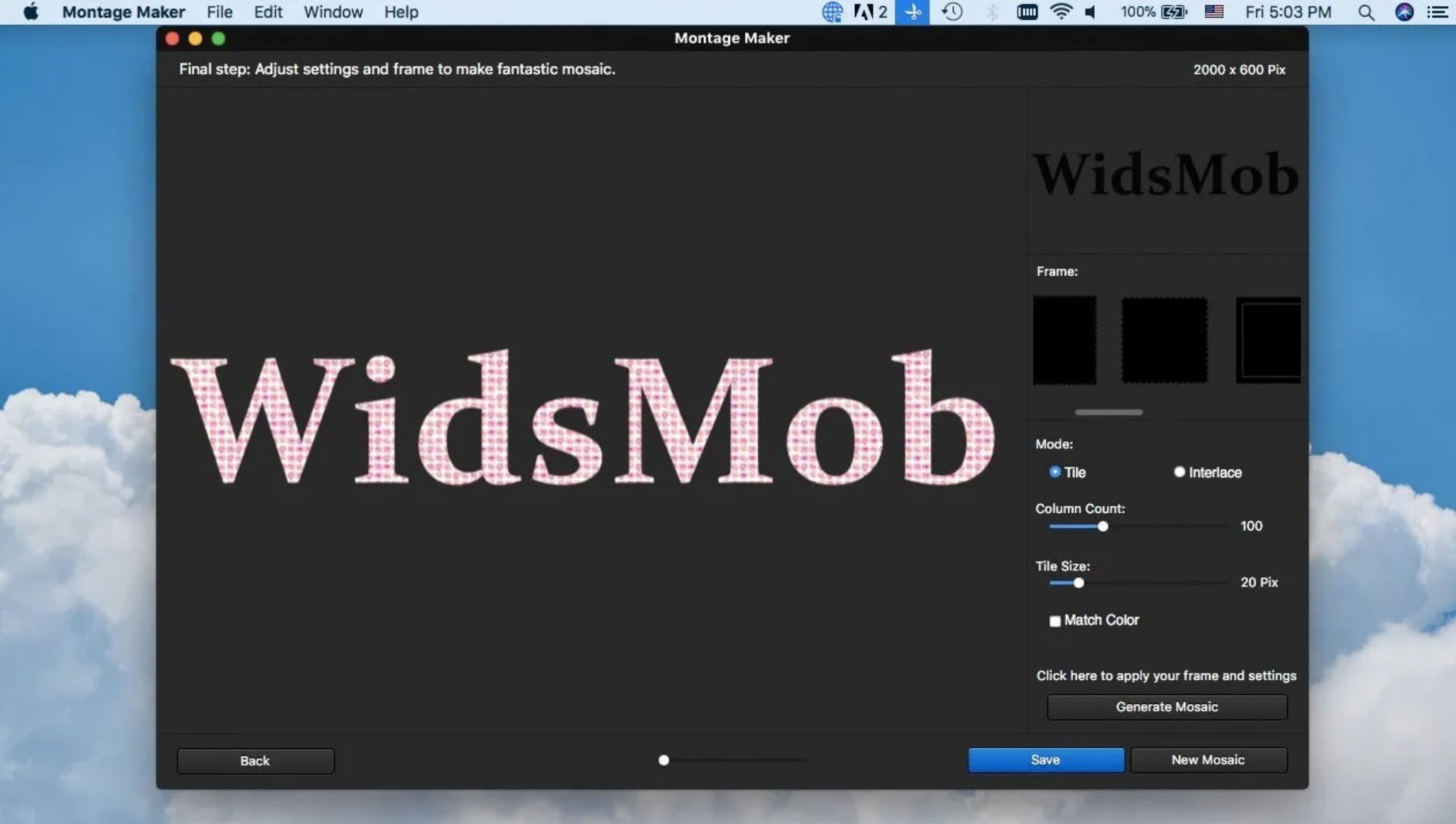WidsMob Montage 截图 1