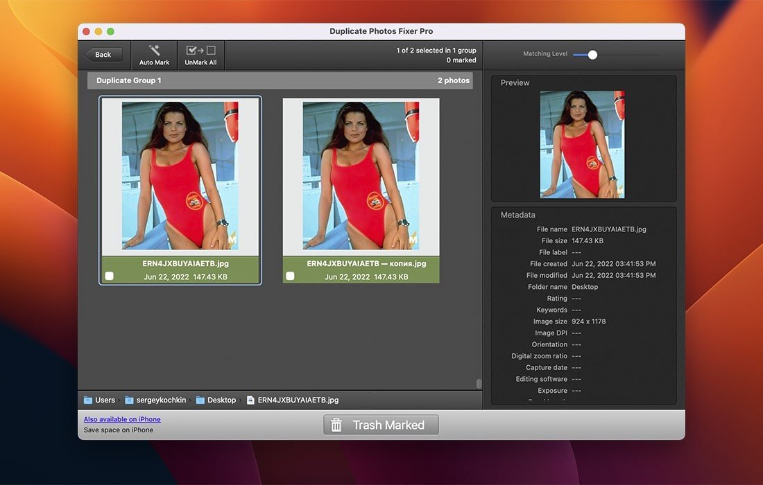 Duplicate Photos Fixer Pro 截图 2