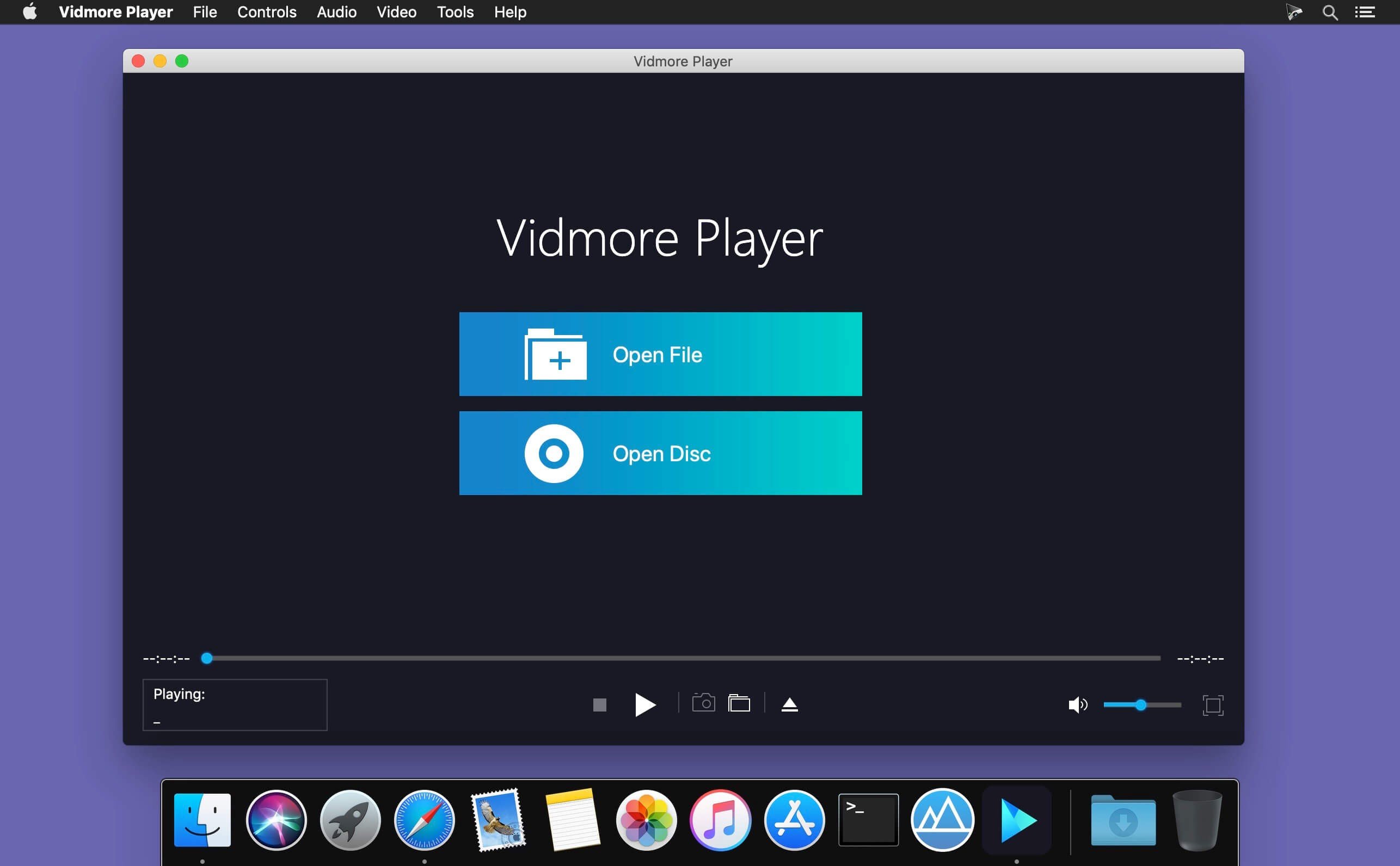 Vidmore Player 截图 1