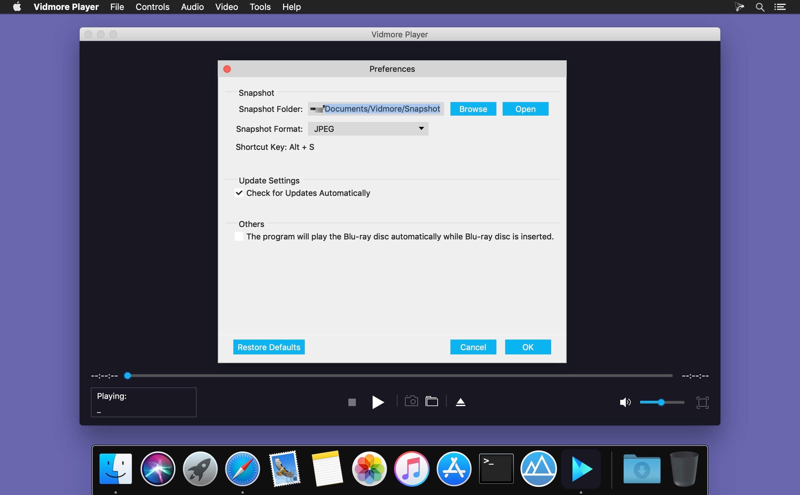 Vidmore Player 截图 2