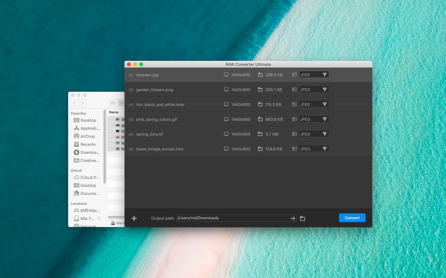 RAW Converter Ultimate 截图 1