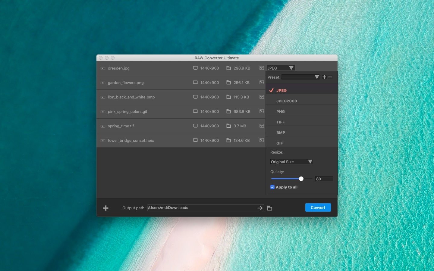 RAW Converter Ultimate 截图 3