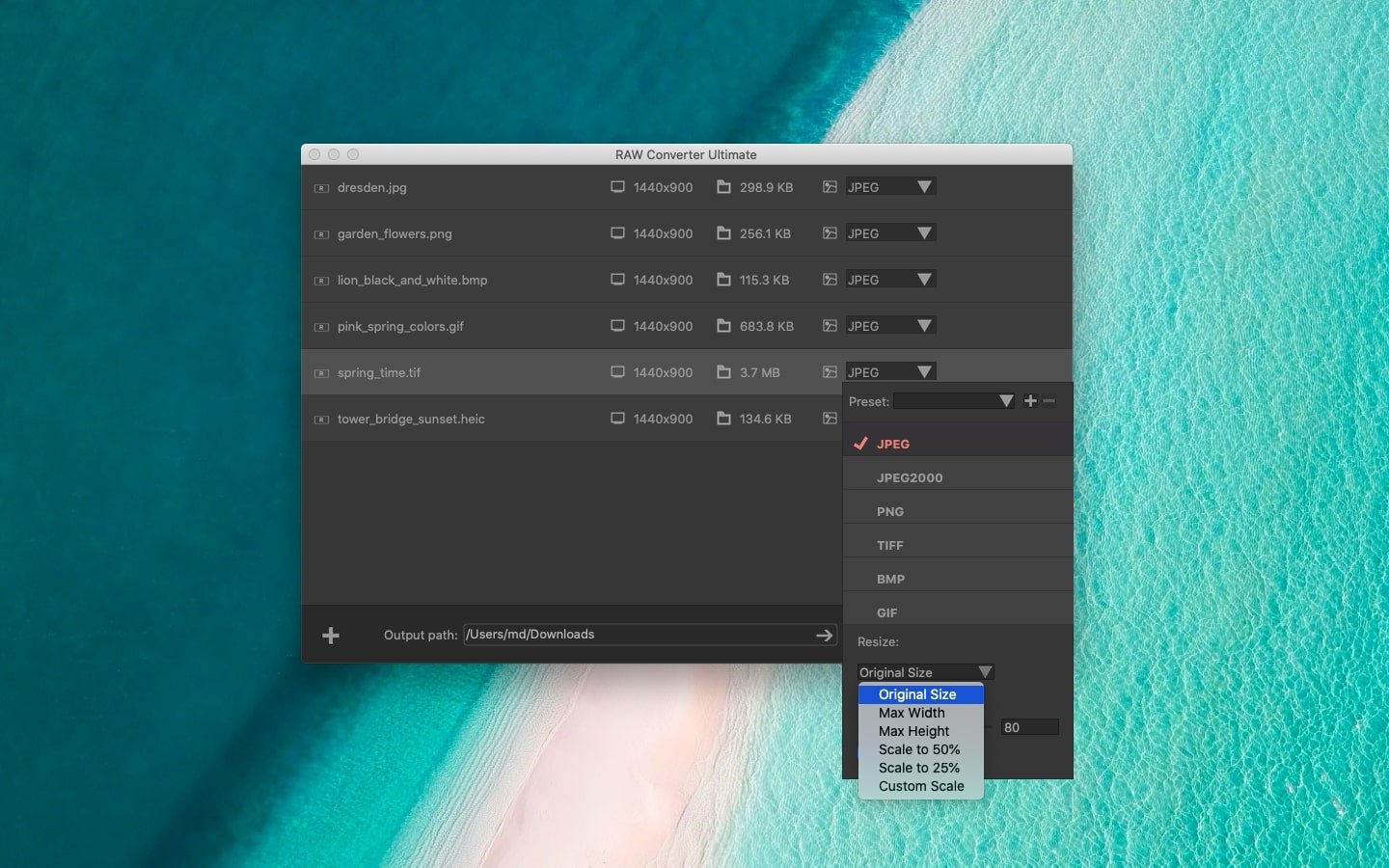 RAW Converter Ultimate 截图 4
