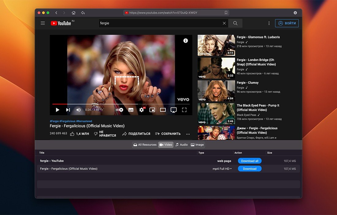 VideoDuke 截图 1