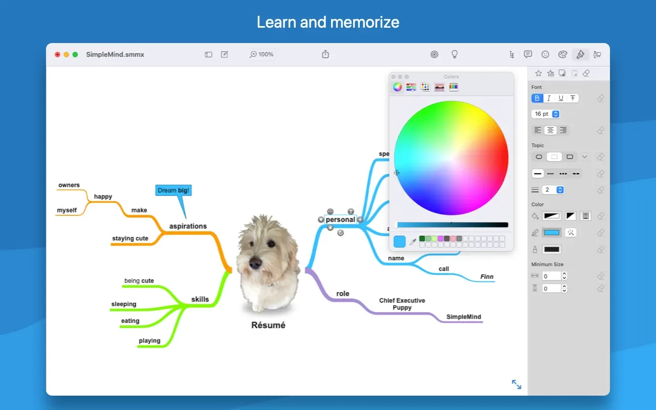 SimpleMind Pro 截图 2