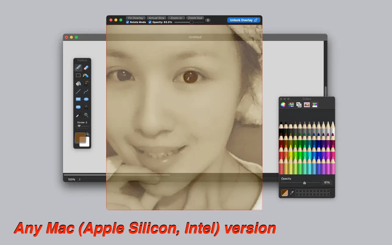 Overlay 截图 1