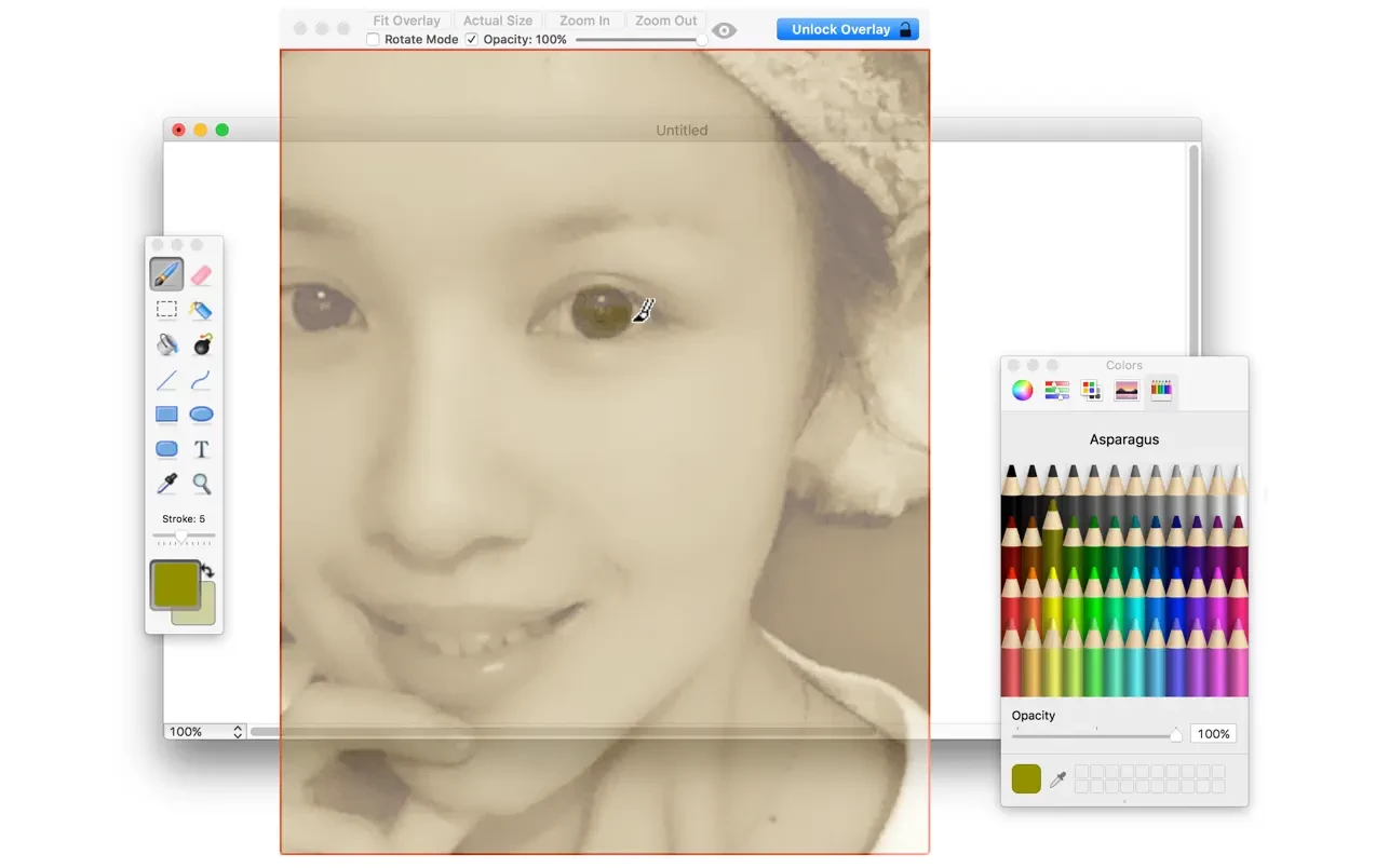 Overlay 截图 3