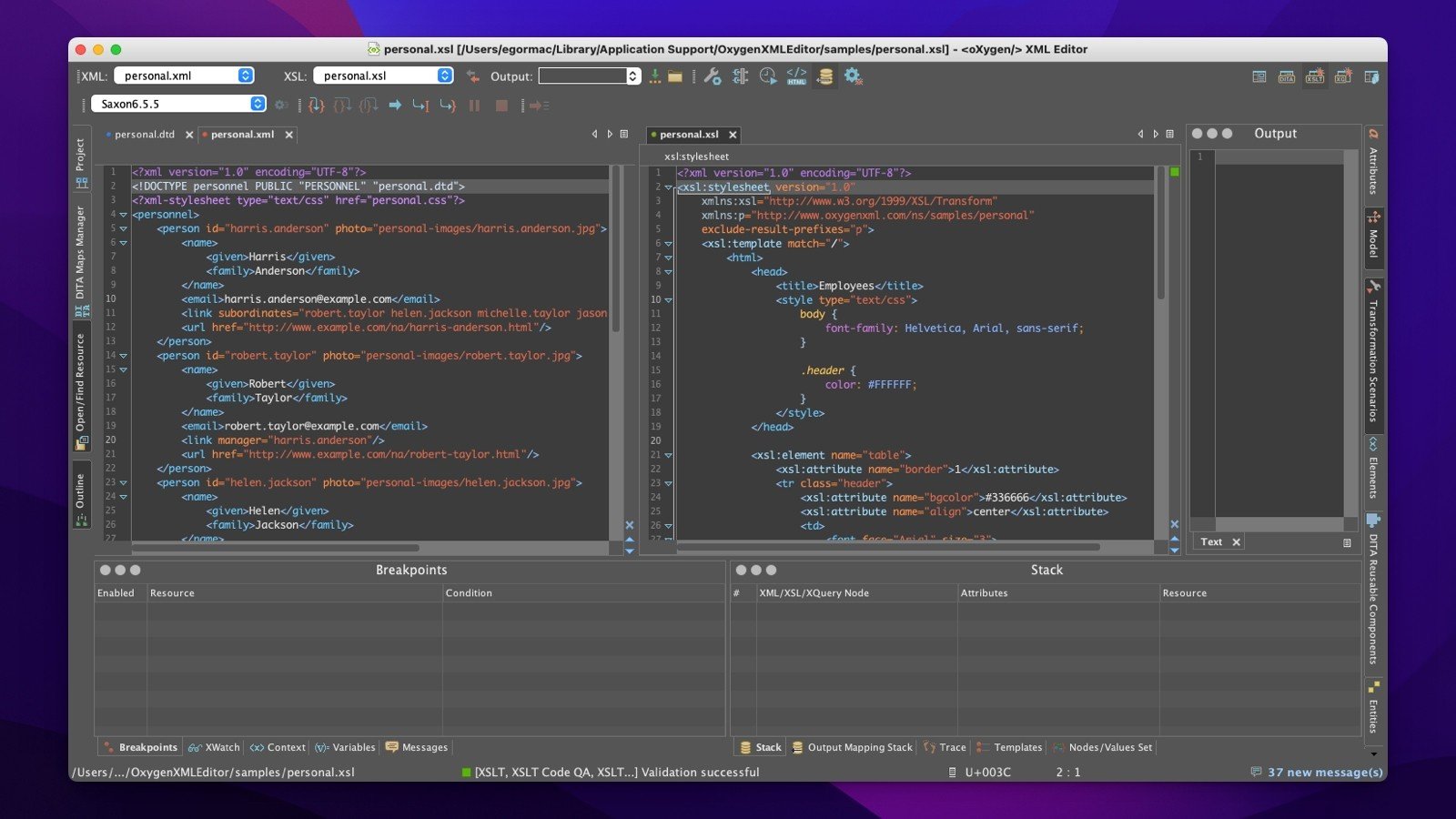Oxygen XML Editor 截图 2