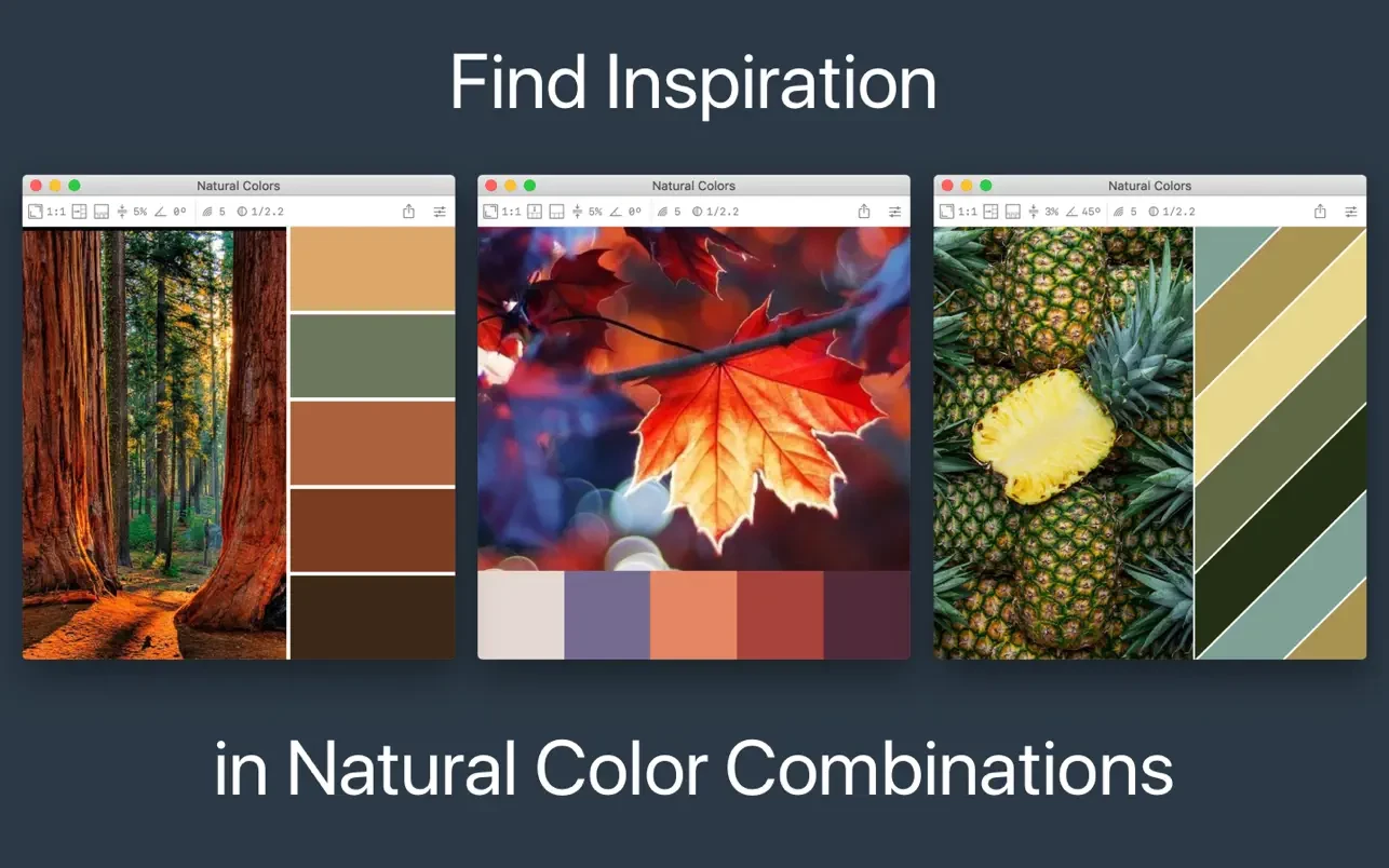 Color Palette from Image Pro 截图 2