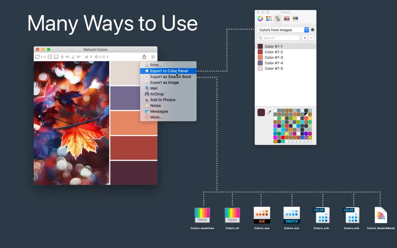 Color Palette from Image Pro 截图 4