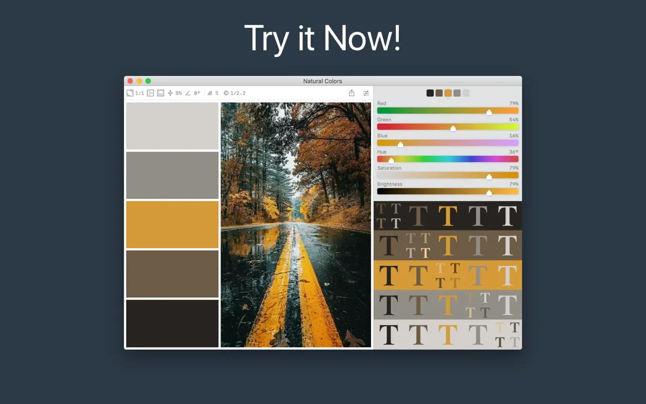 Color Palette from Image Pro 截图 5