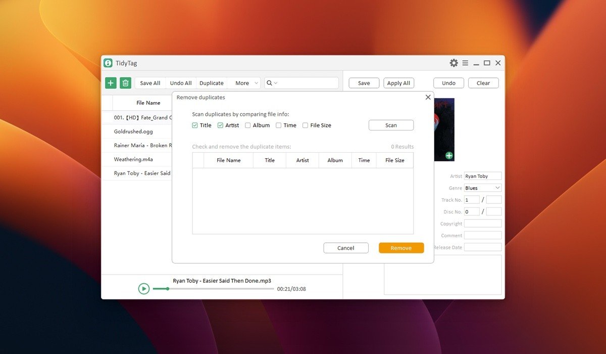 TidyTag Music Tag Editor 截图 1