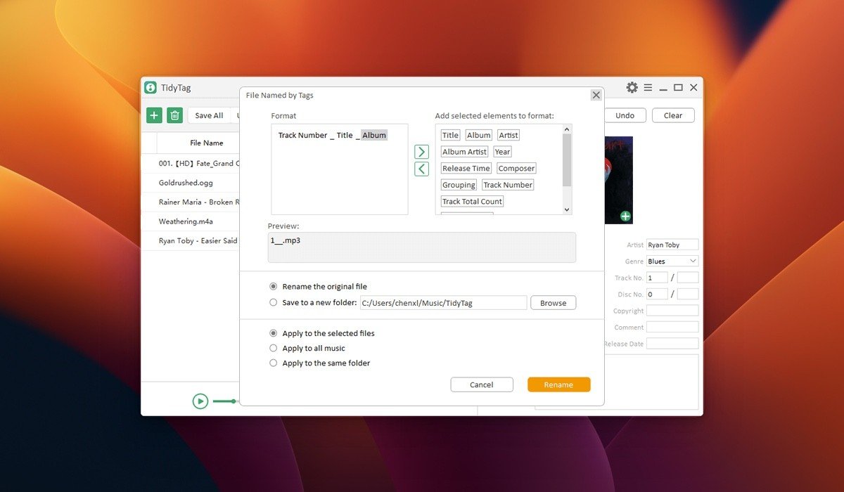 TidyTag Music Tag Editor 截图 2