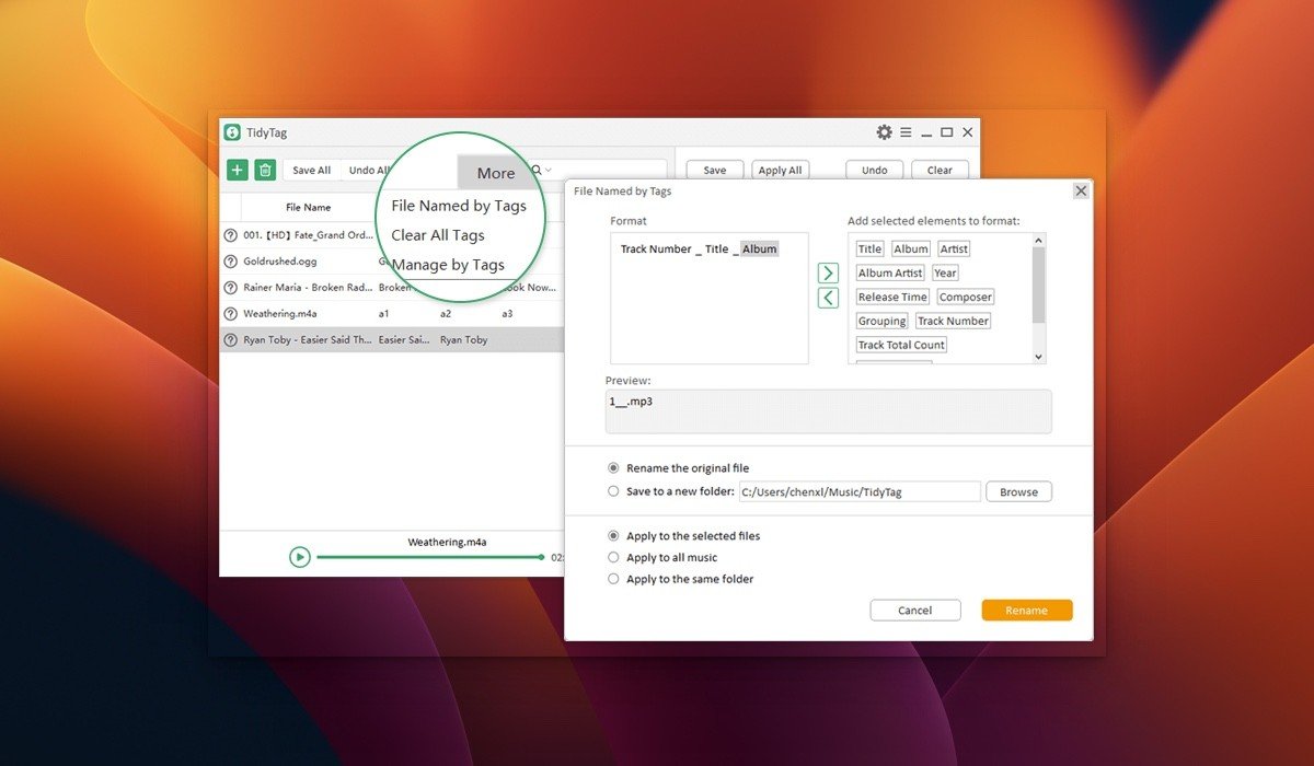 TidyTag Music Tag Editor 截图 3