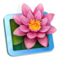 LilyView
