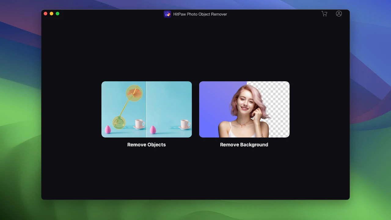 HitPaw Photo Object Remover 截图 1
