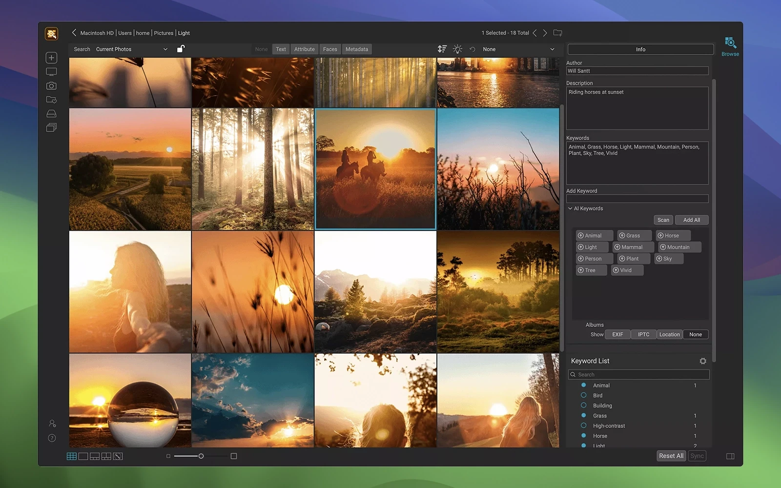ON1 Photo Keyword AI 2023.5 截图 1