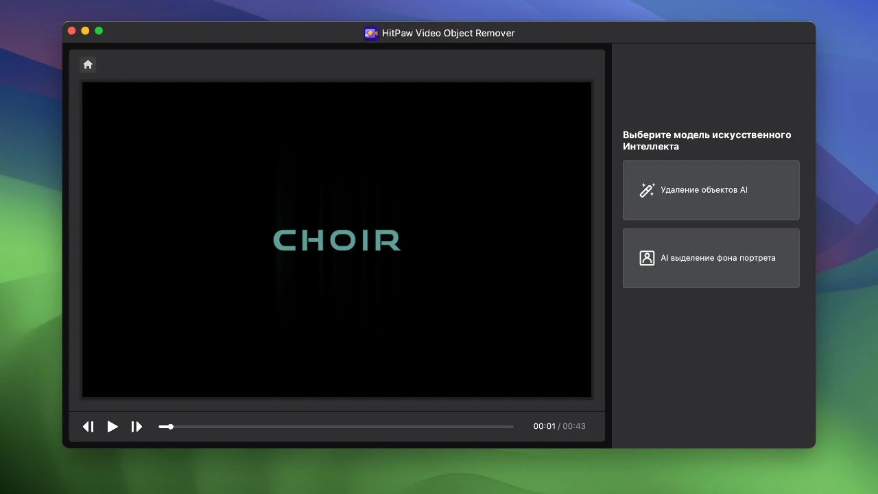 HitPaw Video Object Remover 截图 2
