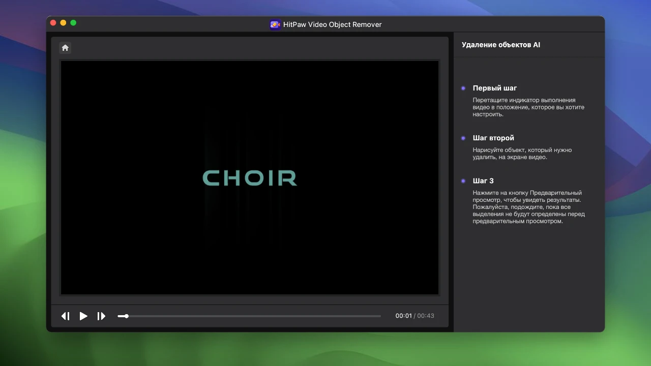 HitPaw Video Object Remover 截图 4