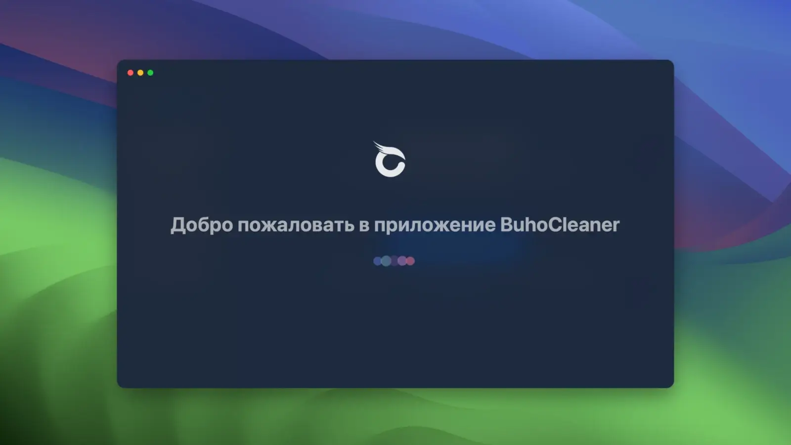 BuhoCleaner 截图 1
