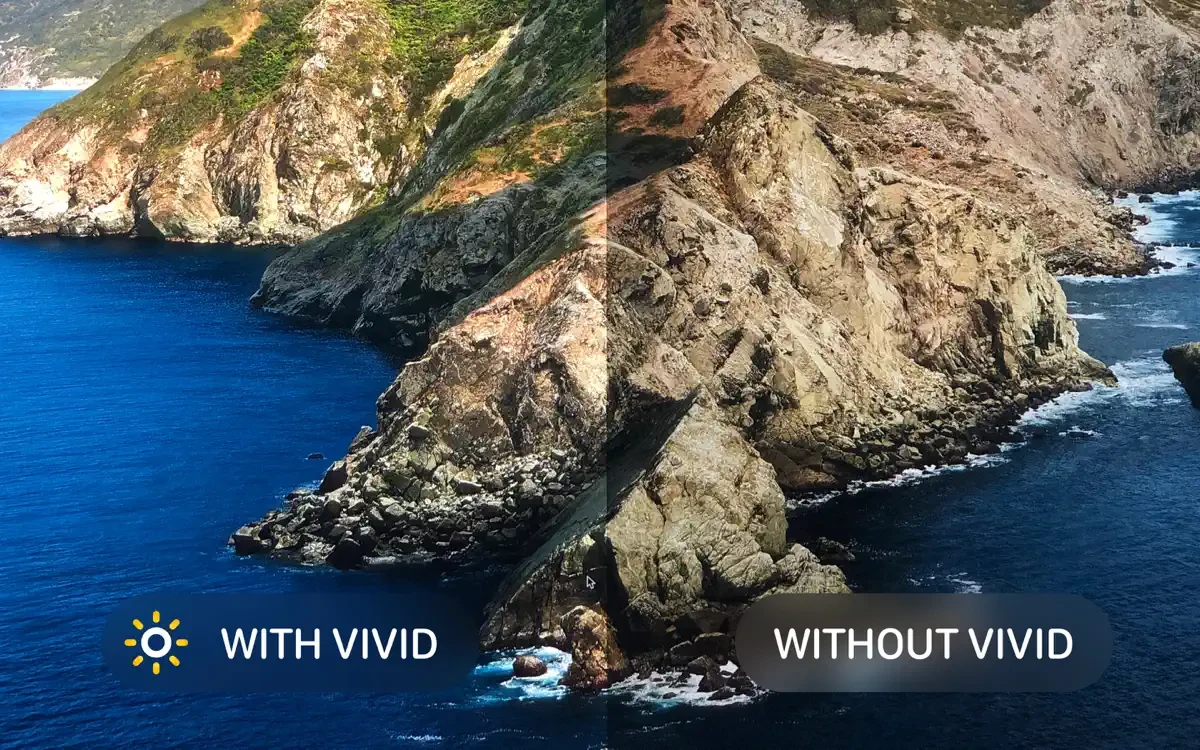 Vivid 截图 1