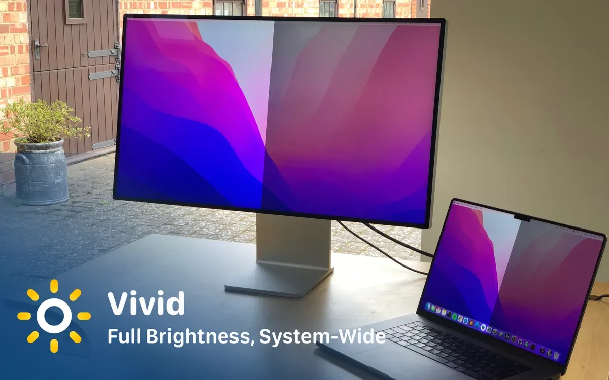 Vivid 截图 2