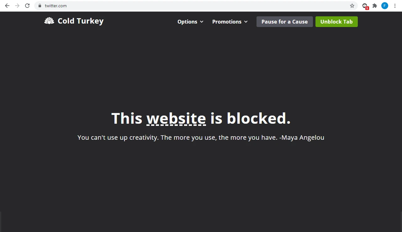 Cold Turkey Blocker Pro 截图 3