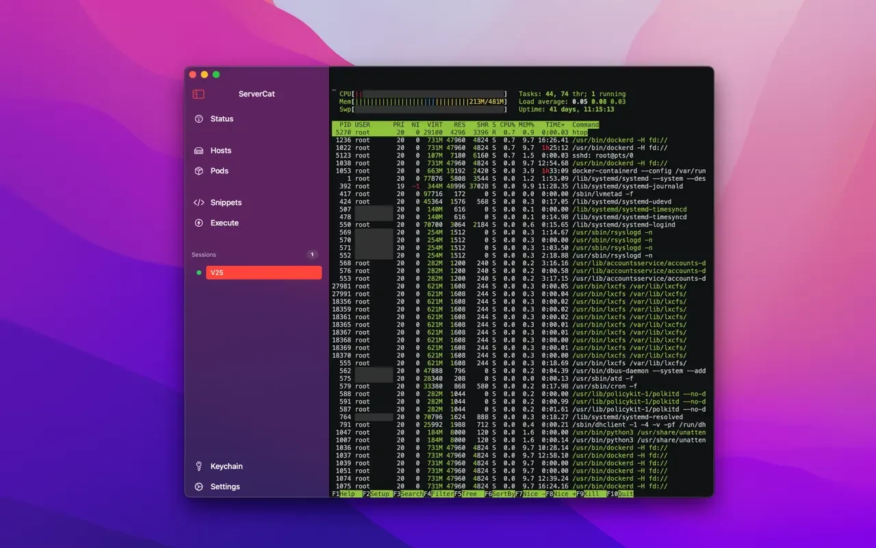 ServerCat - SSH Terminal 截图 3