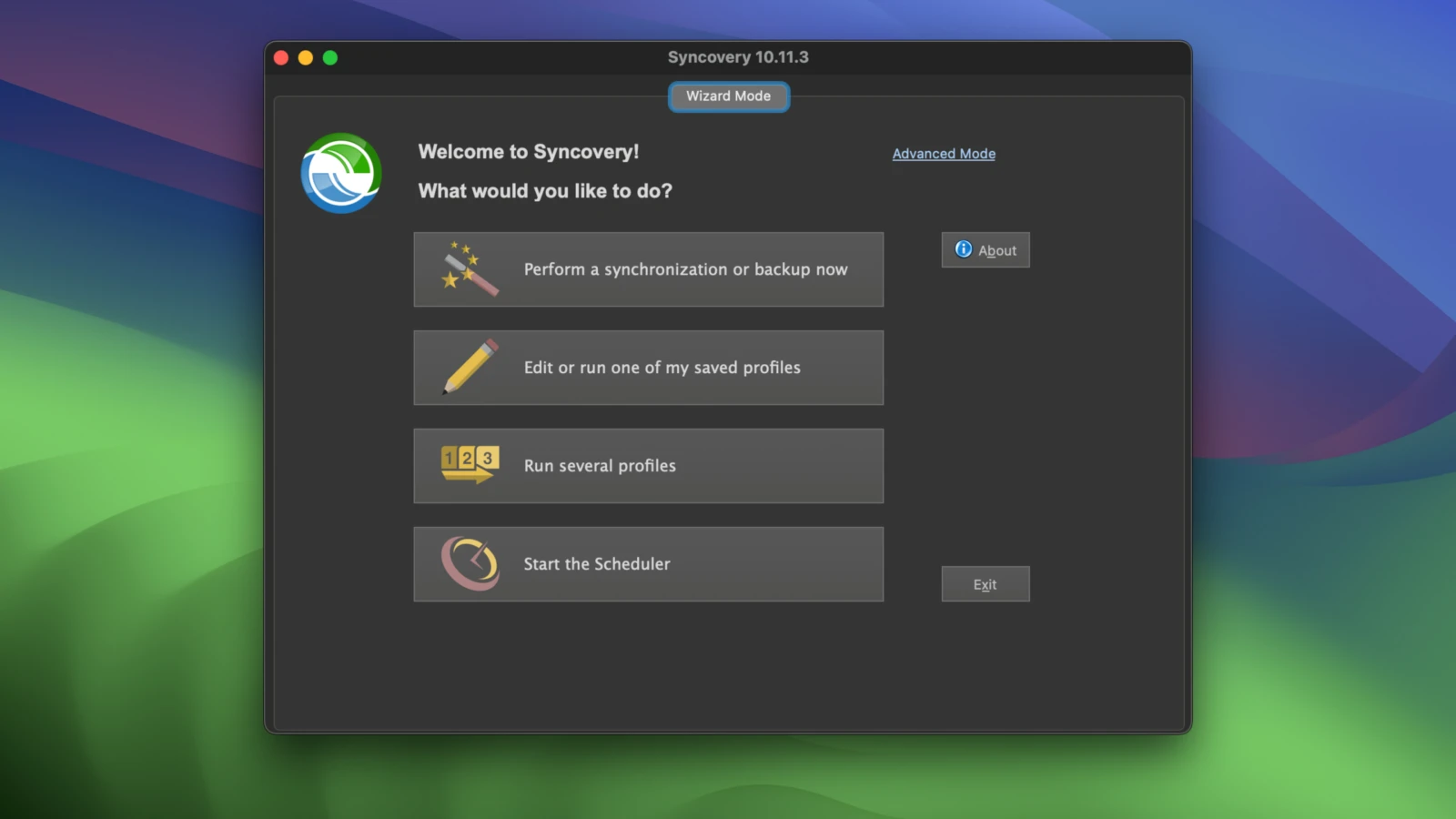 Syncovery Professional 截图 1