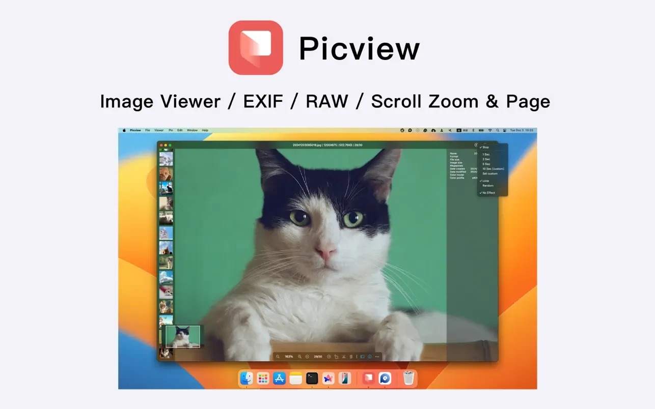 Picview - Image Viewer 截图 1