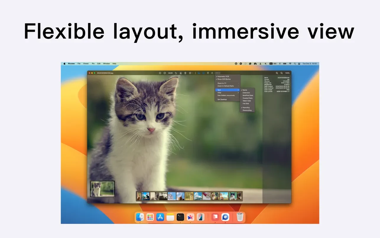 Picview - Image Viewer 截图 2
