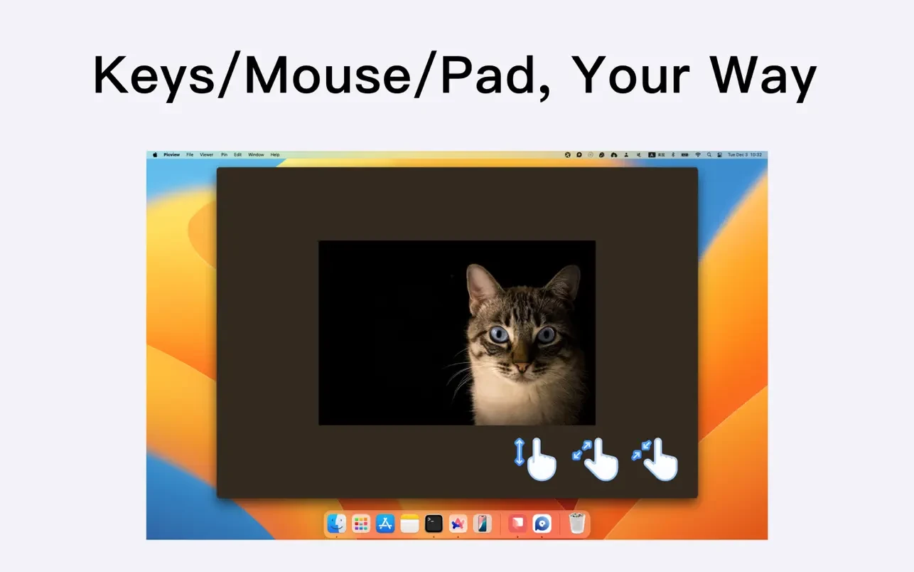 Picview - Image Viewer 截图 3